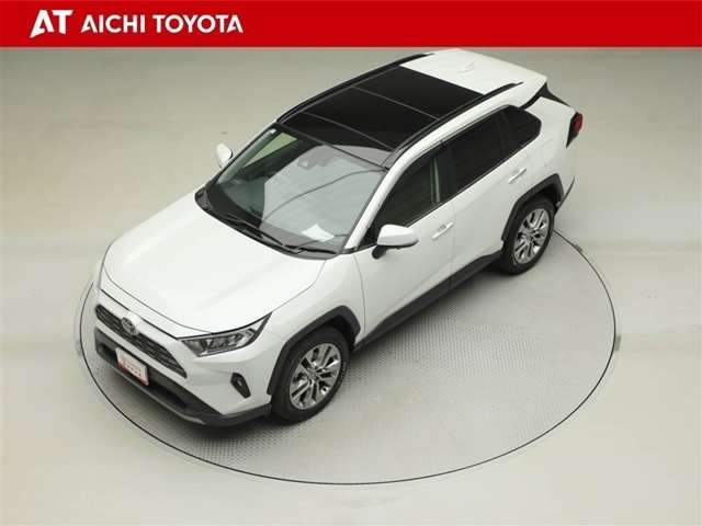 Toyota RAV4 10