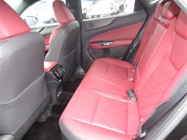 Lexus NX 11