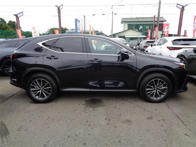 Lexus NX 4