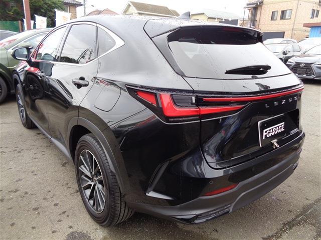 Lexus NX 6