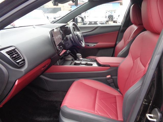 Lexus NX 10