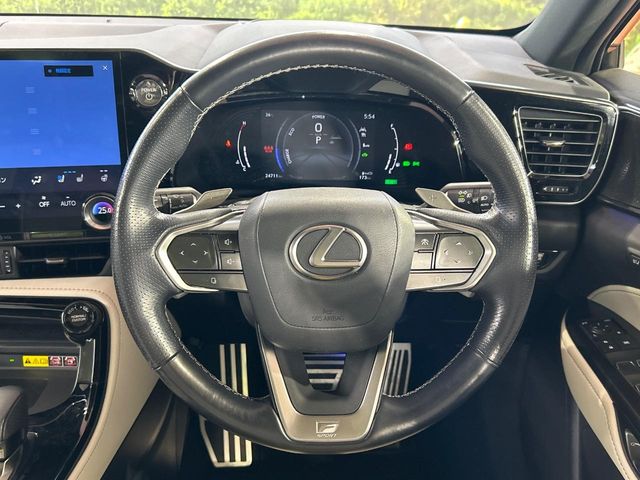 Lexus NX 11