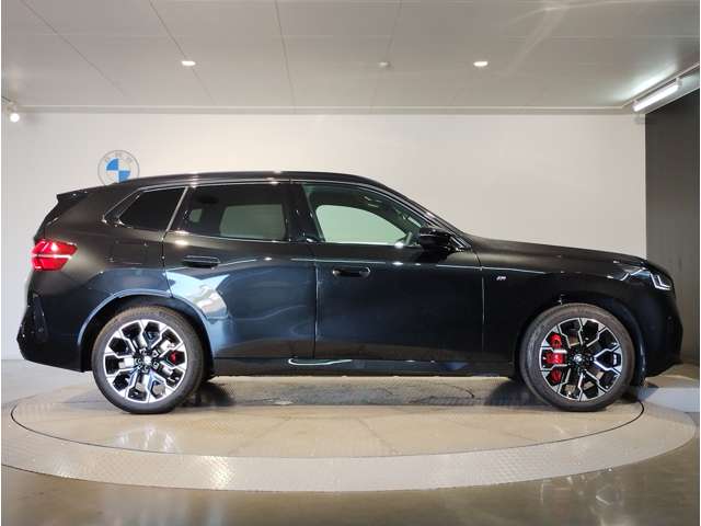 BMW X3 8