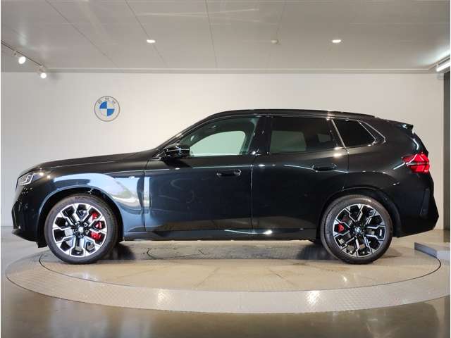 BMW X3 9