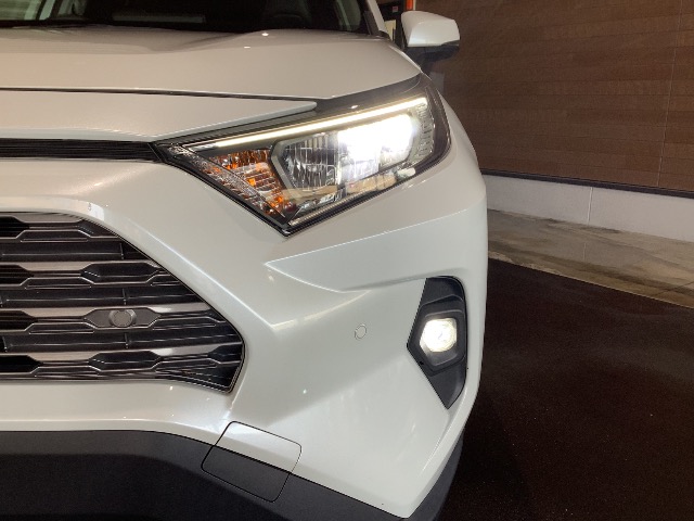 Toyota RAV4 10