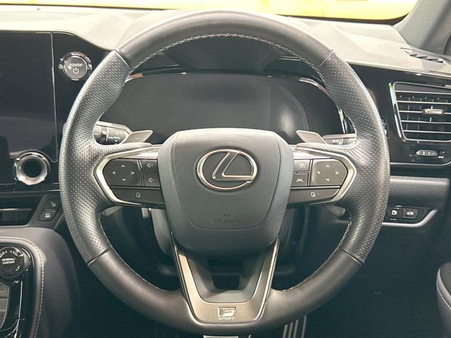 Lexus NX 11