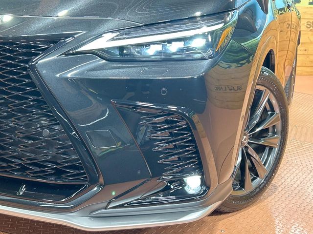 Lexus NX 12