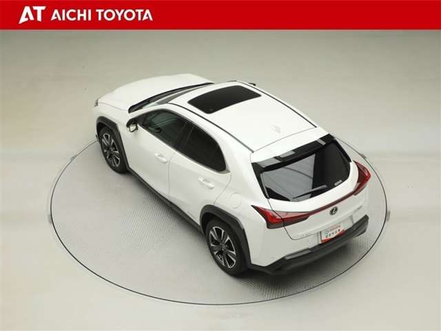 Lexus UX 12