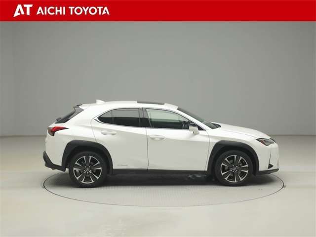 Lexus UX 7