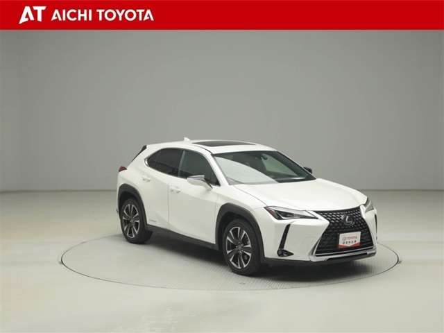 Lexus UX 8