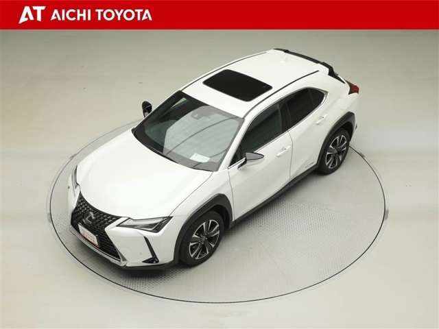 Lexus UX 10