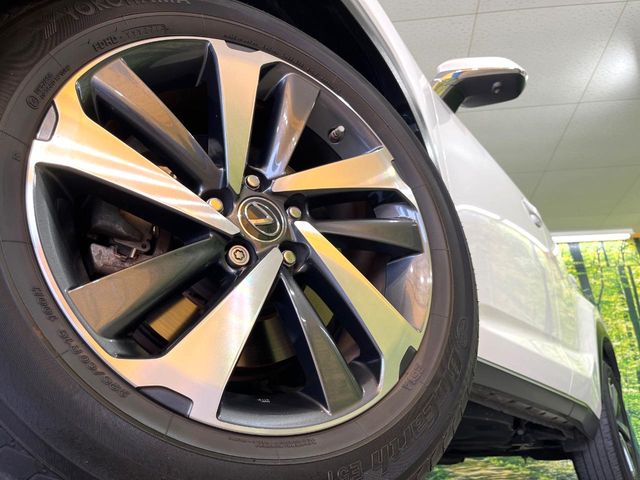 Lexus NX 12