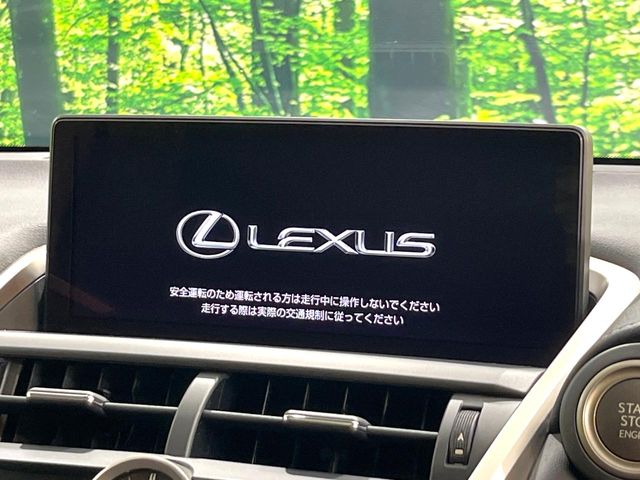 Lexus NX 3