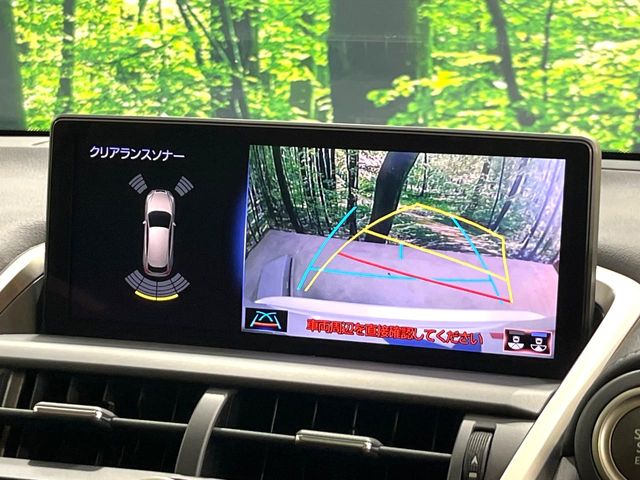 Lexus NX 4