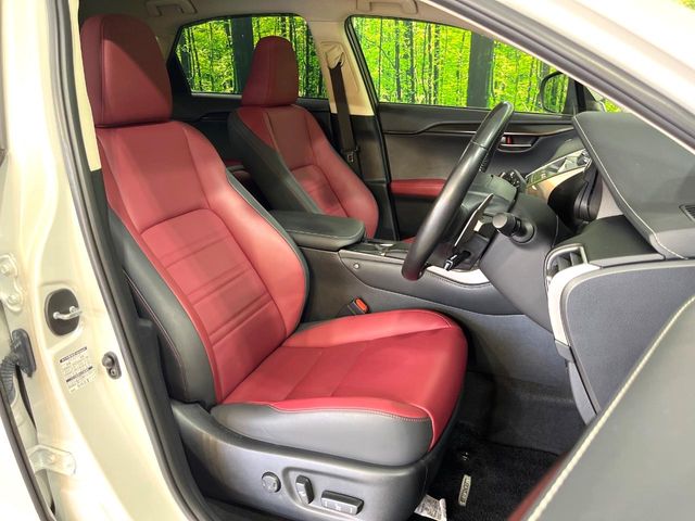 Lexus NX 9