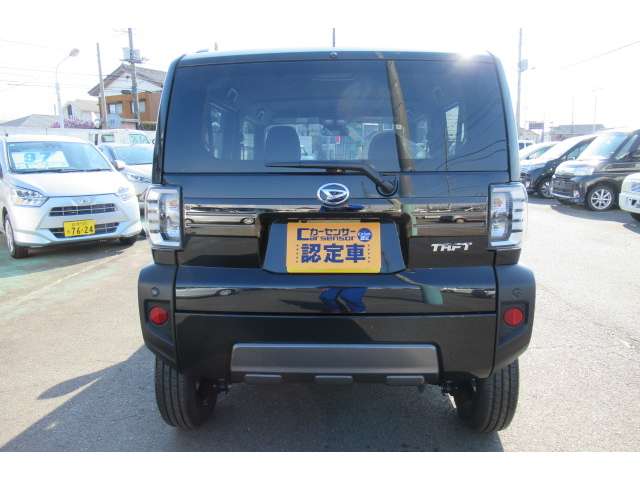 Daihatsu Taft 6