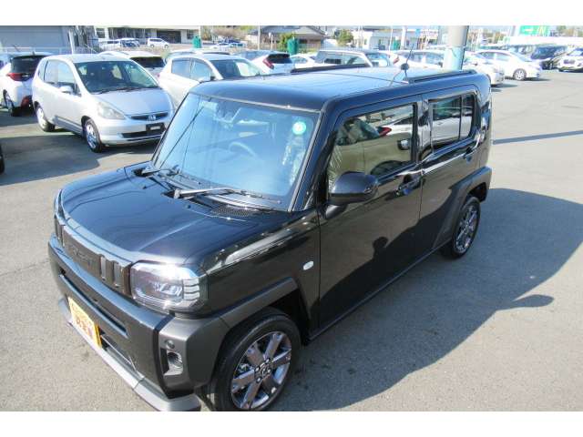 Daihatsu Taft 8