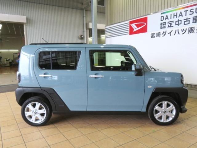 Daihatsu Taft 6
