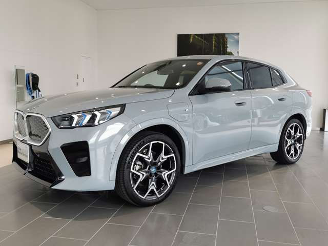 BMW iX2 9