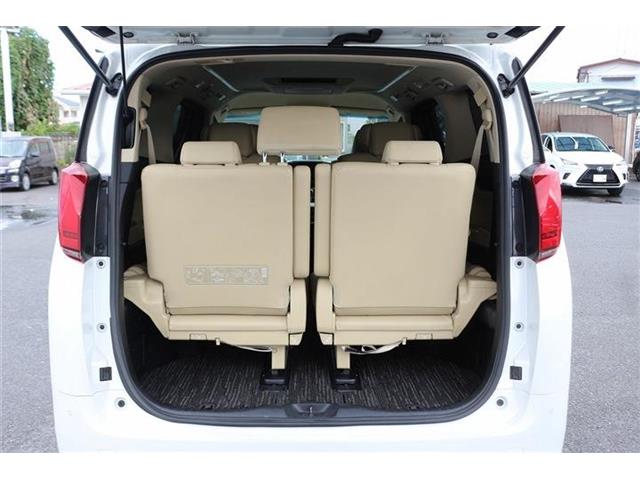 Toyota Alphard 12