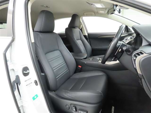 Lexus NX 12