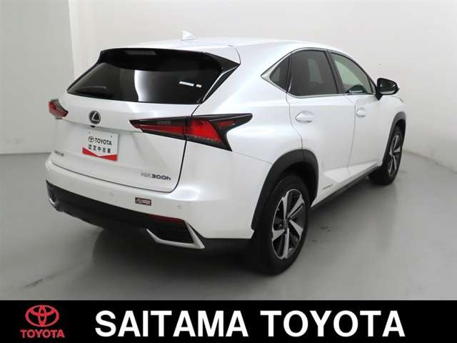 Lexus NX 7