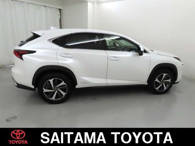Lexus NX 8
