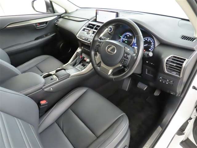 Lexus NX 10