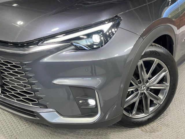 Lexus LBX 12
