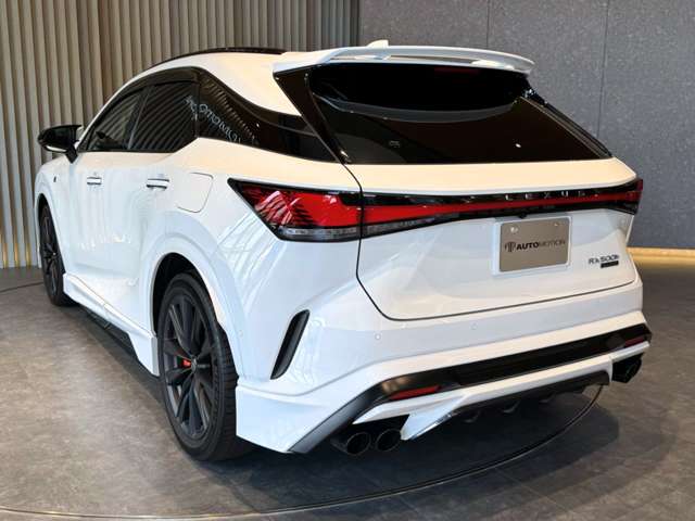 Lexus RX 11