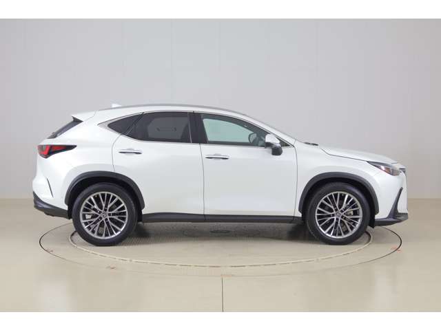 Lexus NX 4