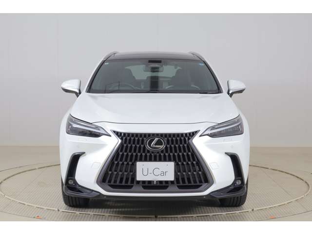Lexus NX 5