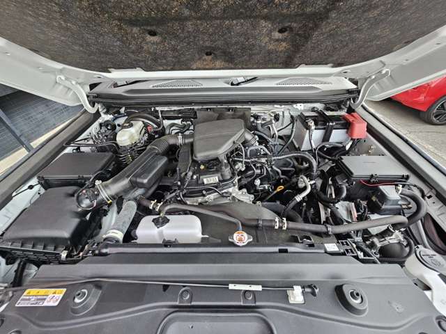 Toyota Land Cruiser 250 7