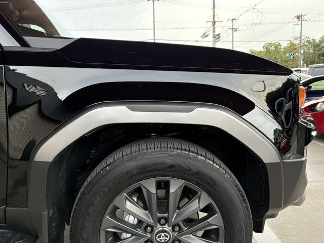 Toyota Land Cruiser 250 4