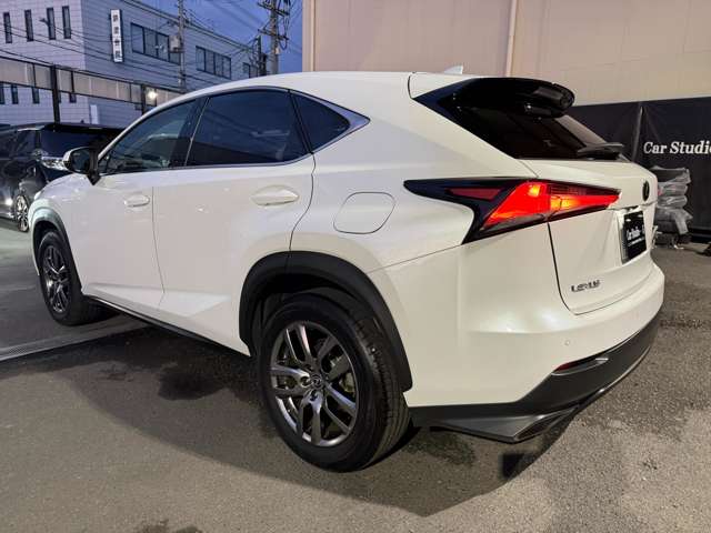 Lexus NX 11