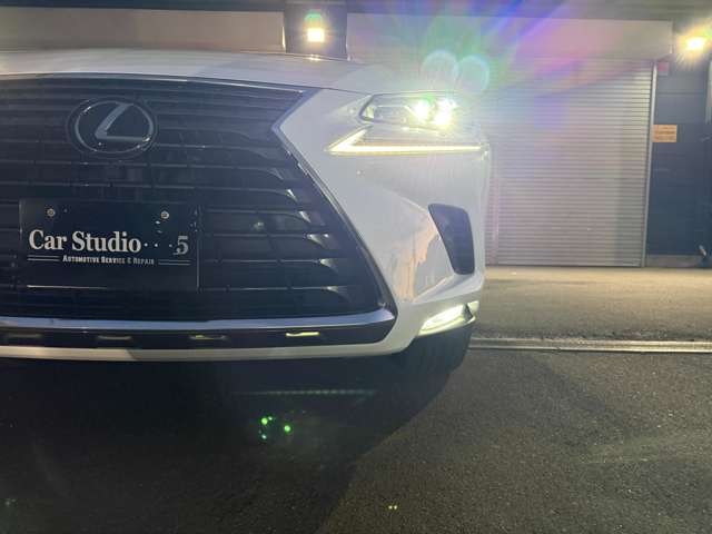 Lexus NX 4