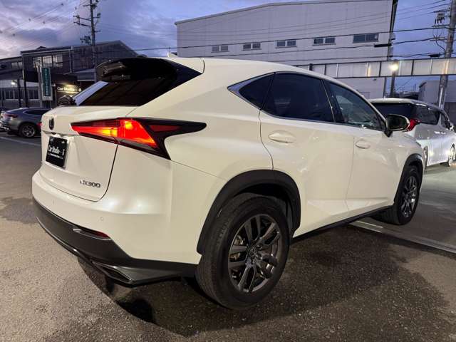 Lexus NX 9