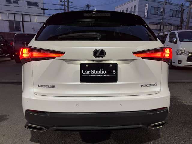 Lexus NX 10