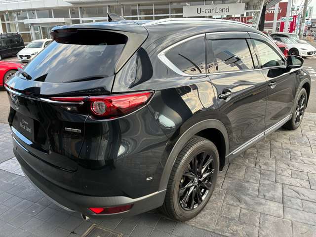 Mazda CX-8 12