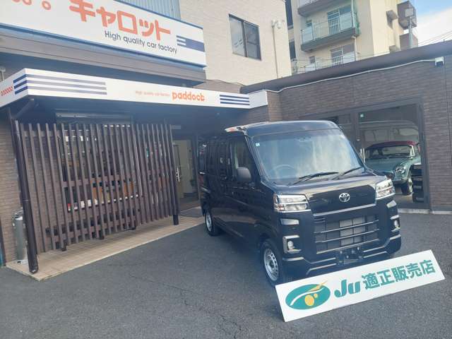 Toyota Pixis Van 5