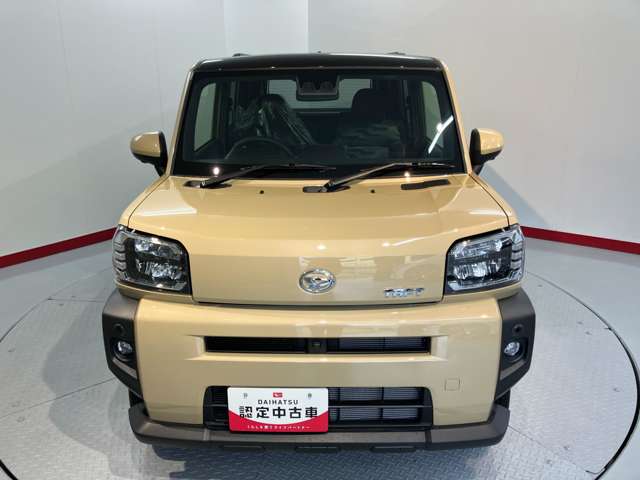 Daihatsu Taft 6