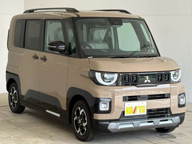 Mitsubishi Delica Mini 11