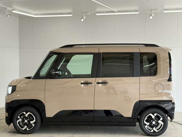 Mitsubishi Delica Mini 7