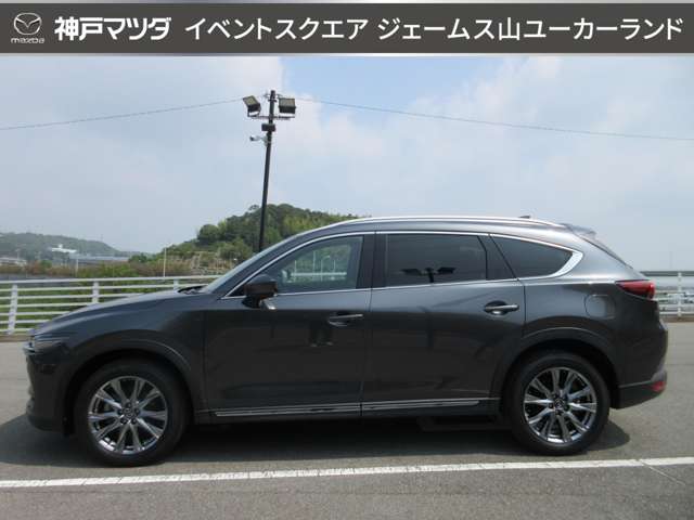 Mazda CX-8 8