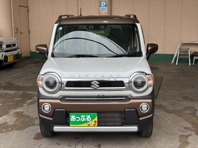 Suzuki Hustler 3
