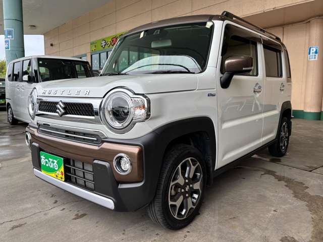 Suzuki Hustler 8