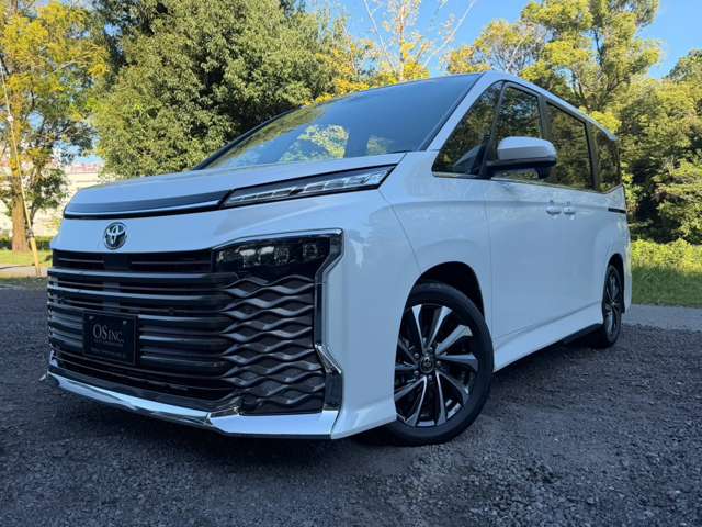 Toyota Voxy 10