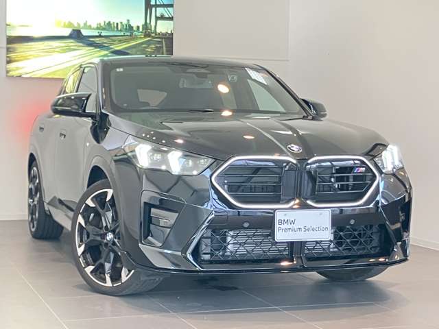 BMW X2 9