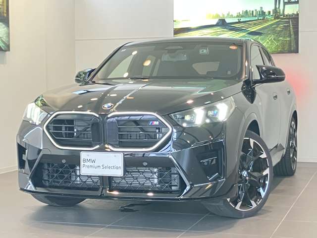 BMW X2 10