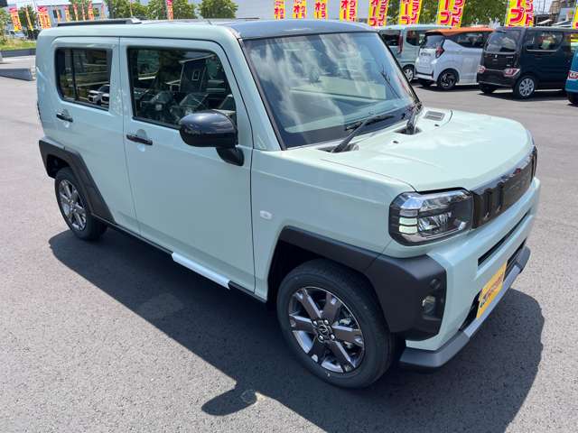 Daihatsu Taft 6